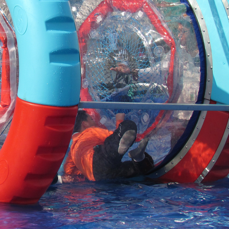 Water Wheel FLWW-10001